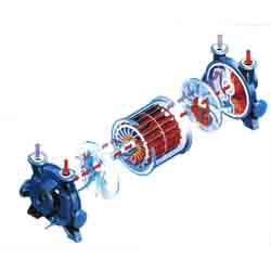 2BEA水环真空泵(图1)